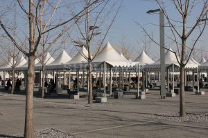 Wholesale Polygon Tent 19